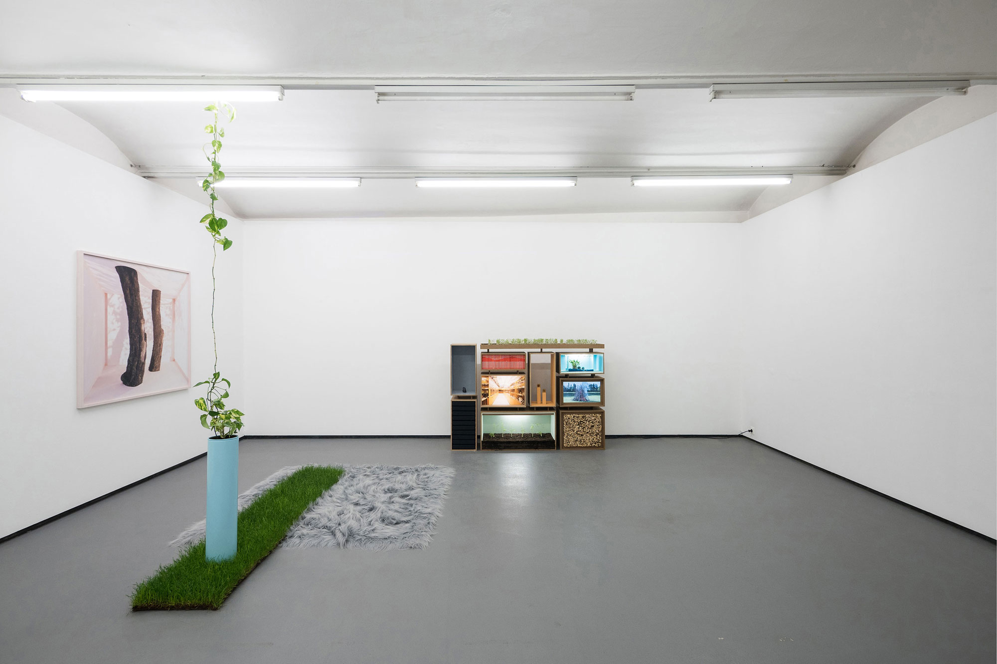 Fotogalerie-III