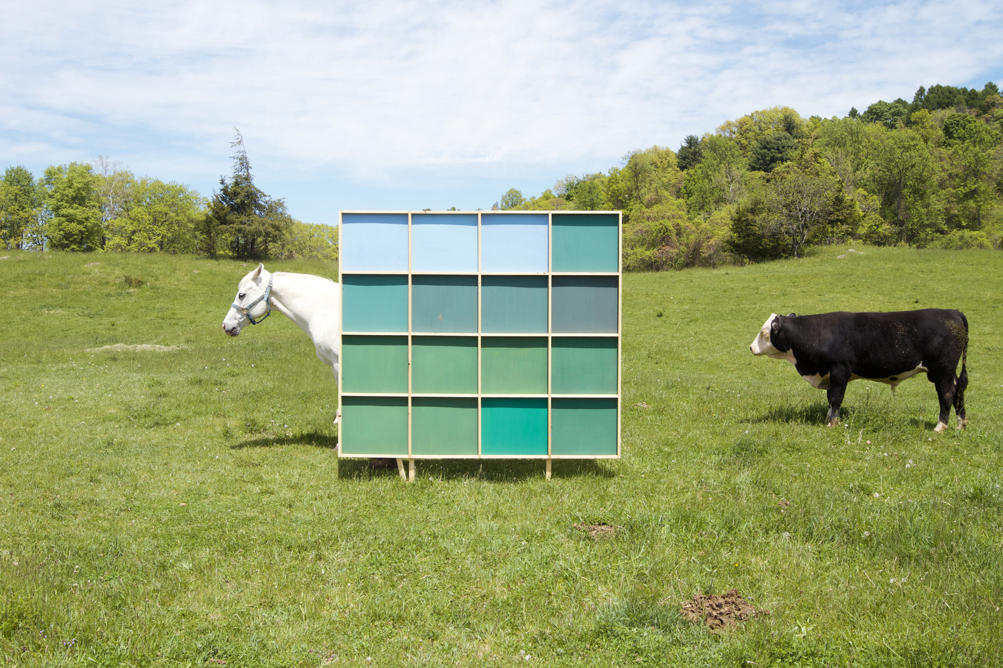 from the series: taming of landscape