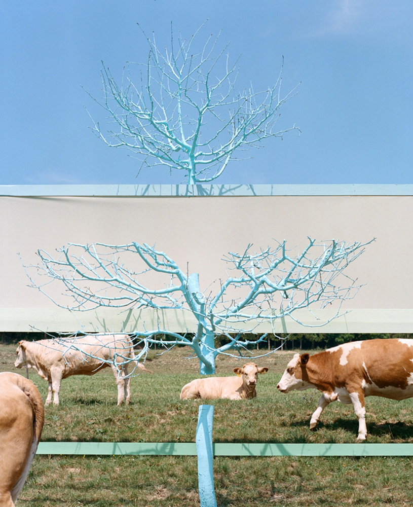 kühe, Installation 