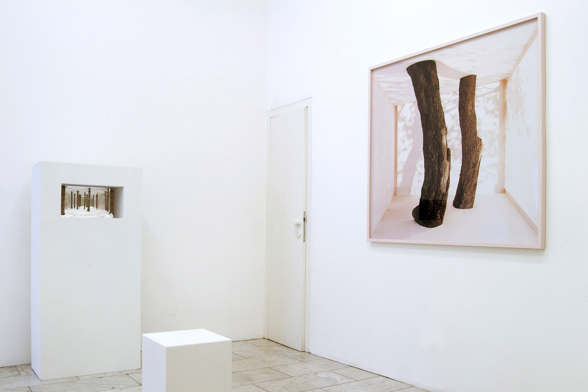 white8galery-II-